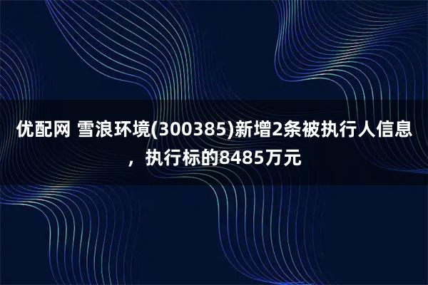 优配网 雪浪环境(300385)新增2条被执行人信息，执行标的8485万元