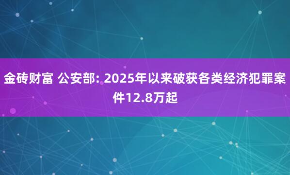 金砖财富 公安部: 2025年以来破获各类经济犯罪案件12.8万起