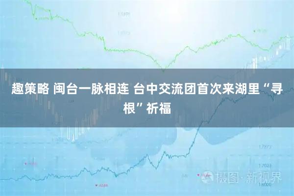 趣策略 闽台一脉相连 台中交流团首次来湖里“寻根”祈福