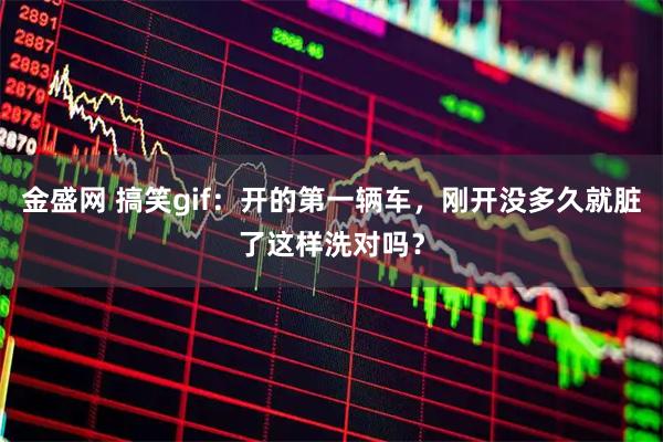金盛网 搞笑gif：开的第一辆车，刚开没多久就脏了这样洗对吗？